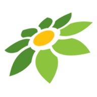 CARI DEWAHOKI